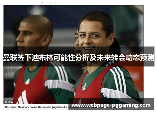 曼联签下迪布林可能性分析及未来转会动态预测